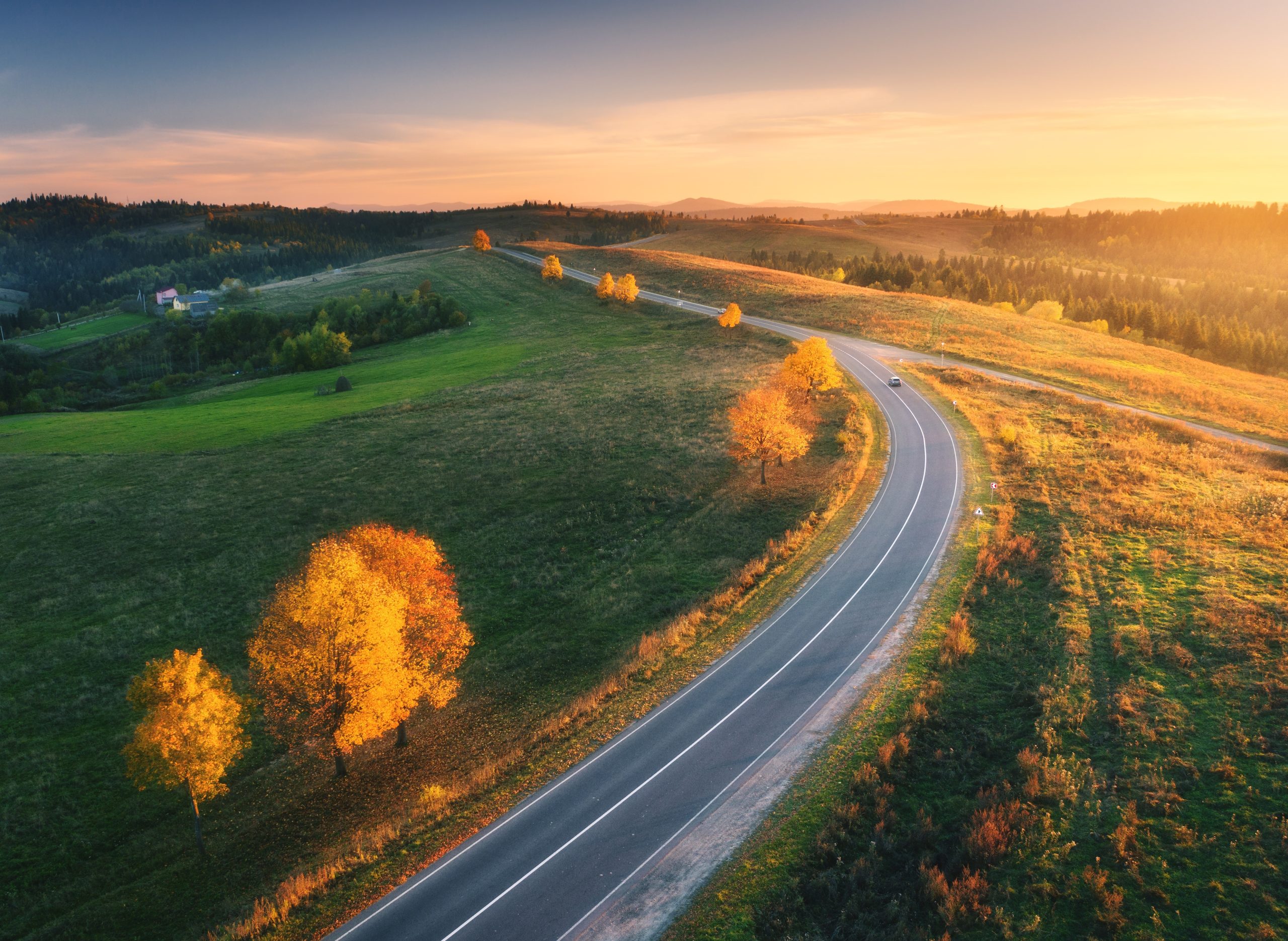 A photo of a road during autumn
