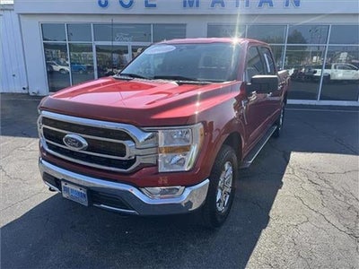 2023 Ford F-150 XLT 4x4 SuperCrew Cab 5.5 ft. box 145 in. WB